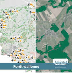 foret_wallonne_2020-resize250x253.png
